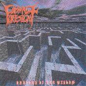 Shadows of the Wisdom